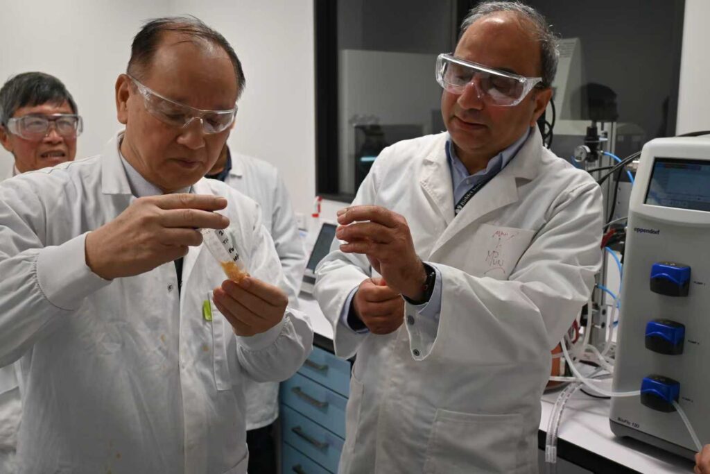 Shiitake mushroom extracts New Zealand research and fermentation process